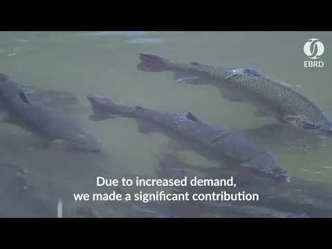 Solar energy for healthier fish production in Armenia