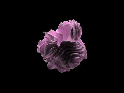 Nandu - Forever In Our Favor (Minimix)