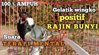Download lagu ampuh !!! terapi mental suara gelatik batu gelatik wingko positif gelatik lain rajin bunyi & gacor mp3