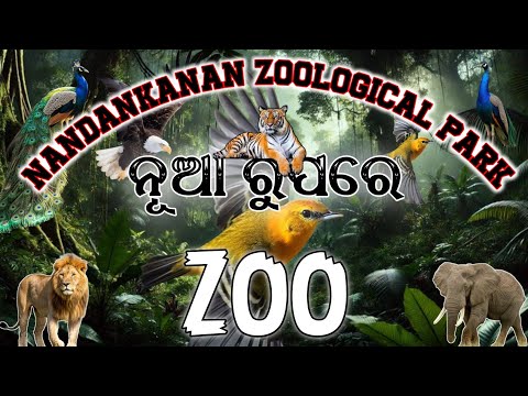 Nandankanan Zoological Park | Wildlife Safari & Zoo Experience in Odisha 🦁🌳
