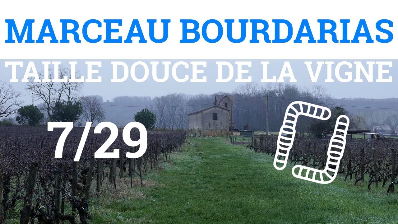 7/29 - M. BOURDARIAS - Taille Douce de la Vigne - Mise en Réserve dans le Bois