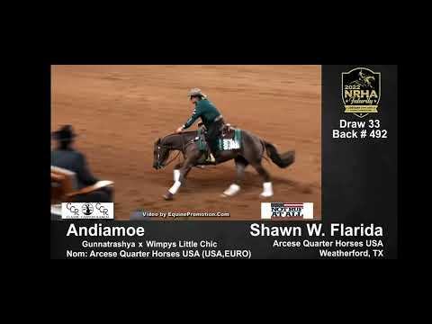 Shawn Flarida and Andiamoe - Futurity 2022 Final - Score 230 - Champions