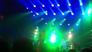 Deixa morrer ornatos violeta