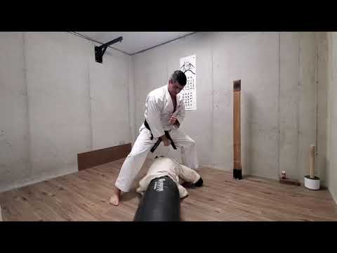 Passai Sho Bunkai Reel