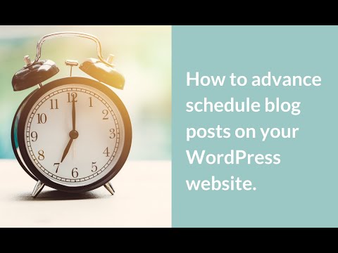 How to Advance Schedule Blog Posts on WordPress with The Website Doula