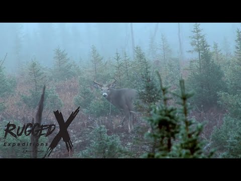 Hunting Whitetail Deer in a Hurricane
