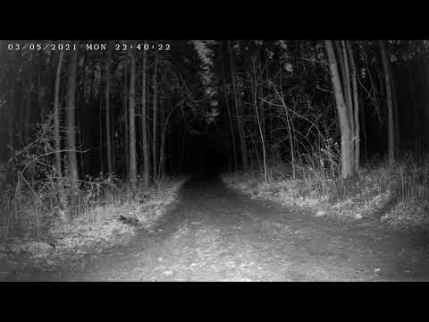 IP camera Longse LBF30ML800, 8Mp 4K, 25m IR, 2,8mm. Night video in complete darkness outdoors.