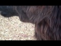 White Post Farm In Melville NY Aug 2011