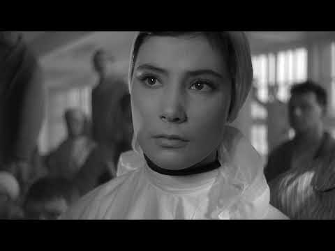 The Cranes are Flying - Best Scene