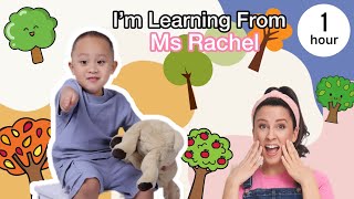 Toddler Fun at the Park Playground | Smiles, Slides & Outdoor Play