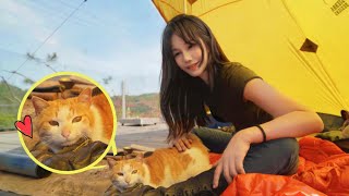 [問卦] 露營大師請進