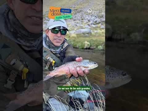 Valle Noble en Mendoza: mosca seca en aguas turbias #pescaconmosca #flyfishing #atadodemoscas