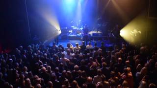 Tiger Lou - Nixon, Live @ Pustervik 2016