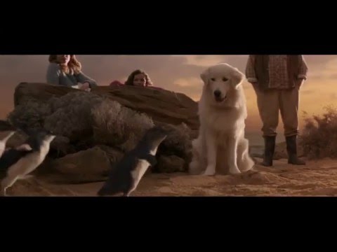 Thumbnail for Giotto l'Amico dei Pinguini - Trailer Ufficiale by Film&Clips by Stuart McDonald