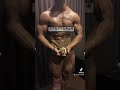 モフモフとムキムキのはいゴールデンハムスターです