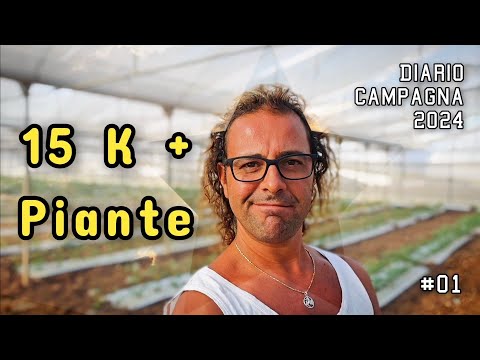 15000 piante e altre in arrivo Nuova campagna Diario di un piccolo imprenditore agricolo [vlog #01]
