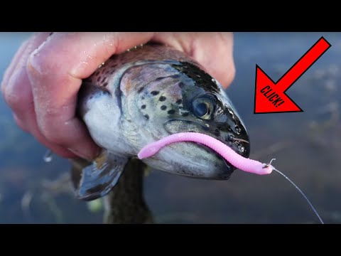 Guide til fiskeri efter regnbueørreder med bobleflåd og gummiorm