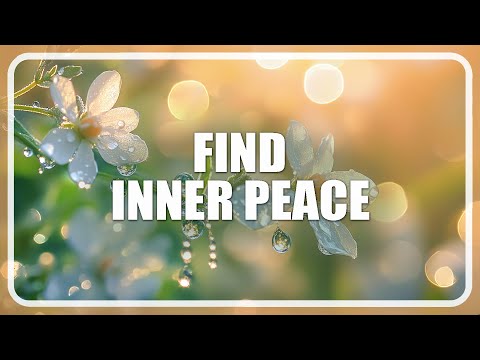 3 Minute Meditation | A Quick Journey to Inner Peace