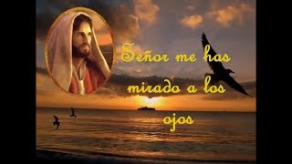 Señor me has mirado a los ojos