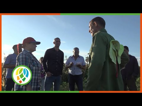 Recorre dirigente partidista de Pinar del Río áreas productivas de San Juan y Martínez