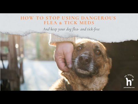 How to Stop Using Dangerous Flea and Tick Meds | Dr. Peter Dobias