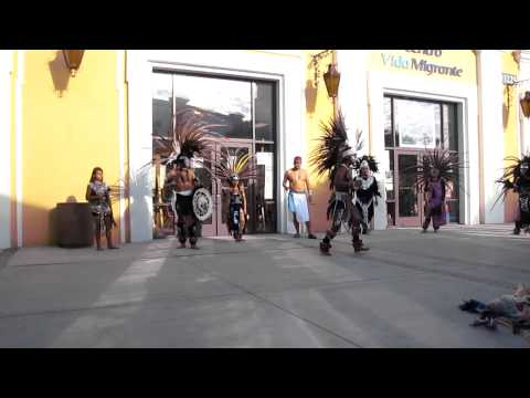 conchero biejo choko