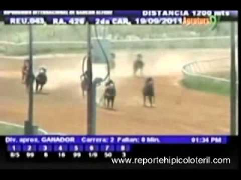 Resumen Lunes 19 de Septiembre de 2011 - Rancho Alegre .wmv