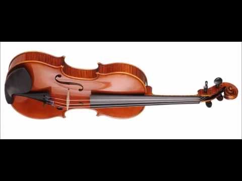 Philippe Mahu - 3rd Prize - 13th Wieniawski Violin Making Comp. | binaural recording | concert hall