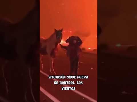 Imágenes aéreas del devastador incendio en #California