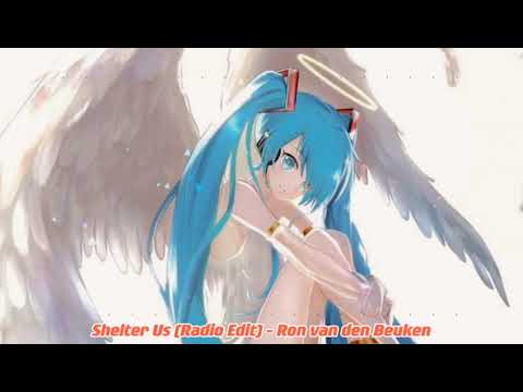 Shelter Us (Radio Edit) - Ron Van Den Beuken