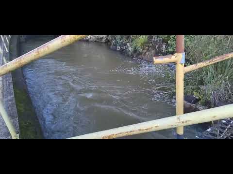 No distrito de Ibicuí, em CAMPOS NOVOS SC