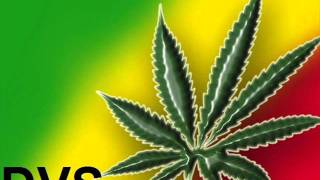 Por cultivar marihuana (con letra)