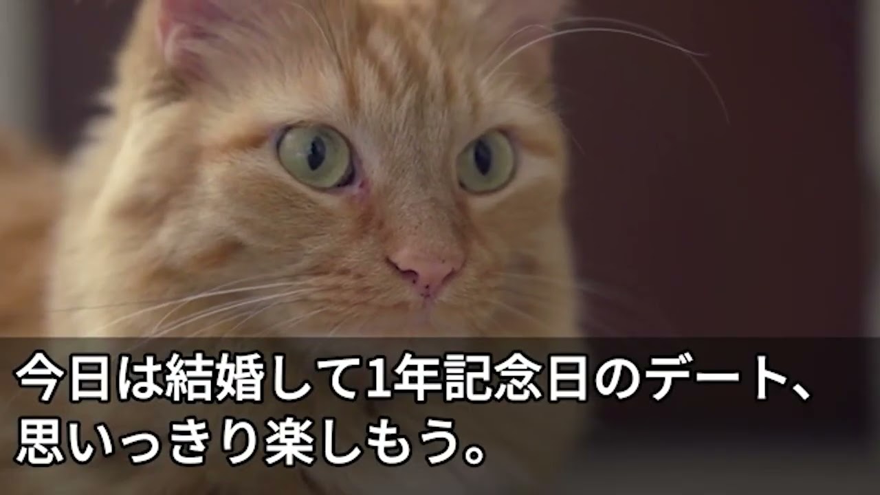 感動総集編CF 1458