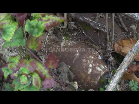 Mjetet e pashpërthyera nga lufta rrezikojnë banorët e Marecit - 19.09.2018 - Klan Kosova