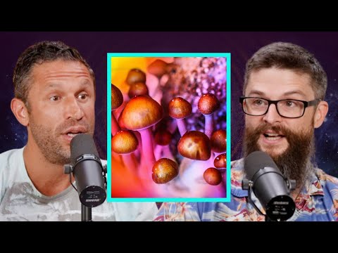 MIND BLOWING Psilocybin (Magic Mushroom) Studies | Matthew Johnson Ph.D.