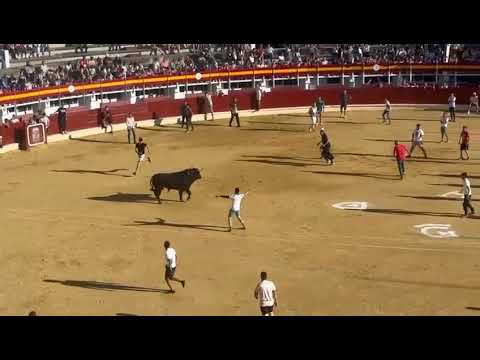 Cogida en el toro del cajón de Medina del Campo