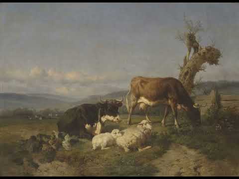 Johann Wilhelm Hertel - Bassoon Concerto in E-flat major (18th century)