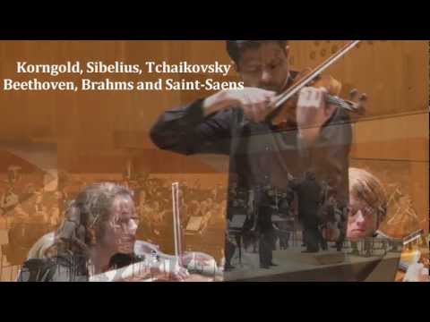 Razvan Stoica - Artist Presentation | Janssen Artist Management