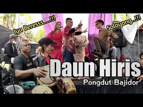 Arman Rahman DAUN HIRIS Pongdut Voc.Nyai Lina & Orin | Cun Projeck ( Arf Sound Audio )