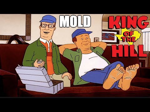 Hank Deals with the MOLD SCAMMER  |  King of the Hill