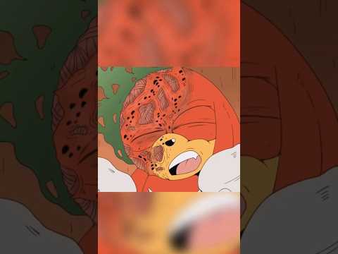 BRUTAL KNUCKLES SCENE IN A SONIC.EXE ANIMATION #shorts #sonicexe #exe #knuckles #animation #luigikid