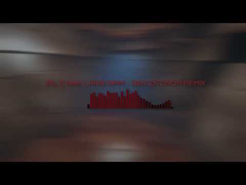 PIL C feat. LARIS DIAM - DEŇ ZA DŇOM REMIX