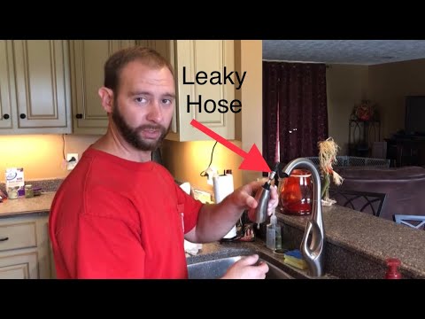How to replace kitchen sink pull down hose (phister faucet)