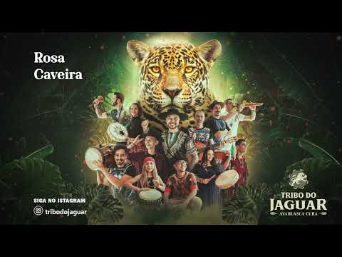Tribo do Jaguar - Rosa Caveira