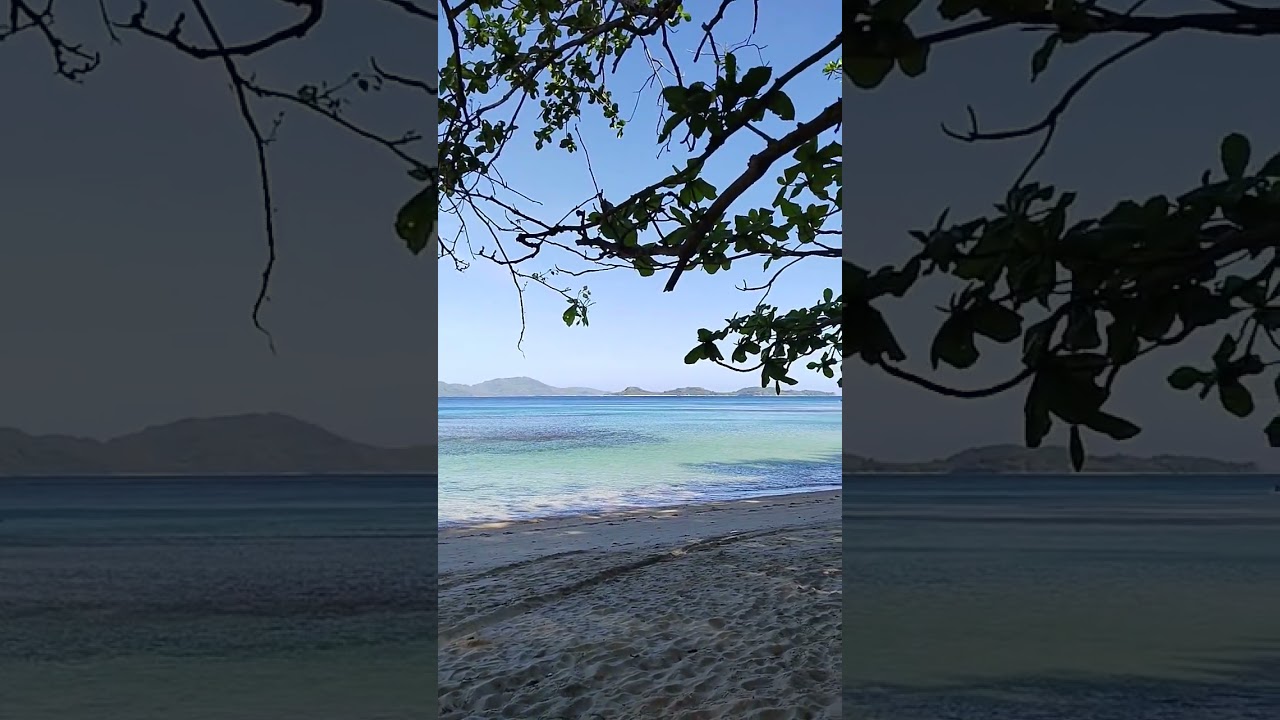 YouTube Short thumbnail