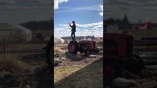 Fringy Family Day with MEP Christine Anderson