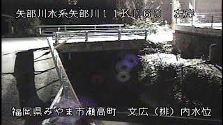 動画のサムネイル