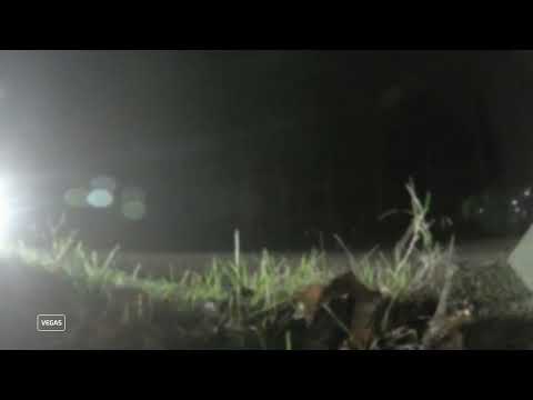 Ford Fiesta ST150 - #2 Milltek exhaust drive-by sound 💥