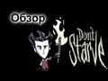 Обзор на Don't Starve Лучшую игру по выживанию 