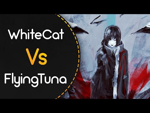 WhiteCat vs FlyingTuna! // NOA - Monsters (Shifu Touka) [I see your pain]